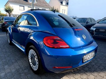 Volkswagen Beetle - 9