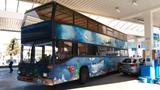 MAN SD 202 Campingbus - MAN 2