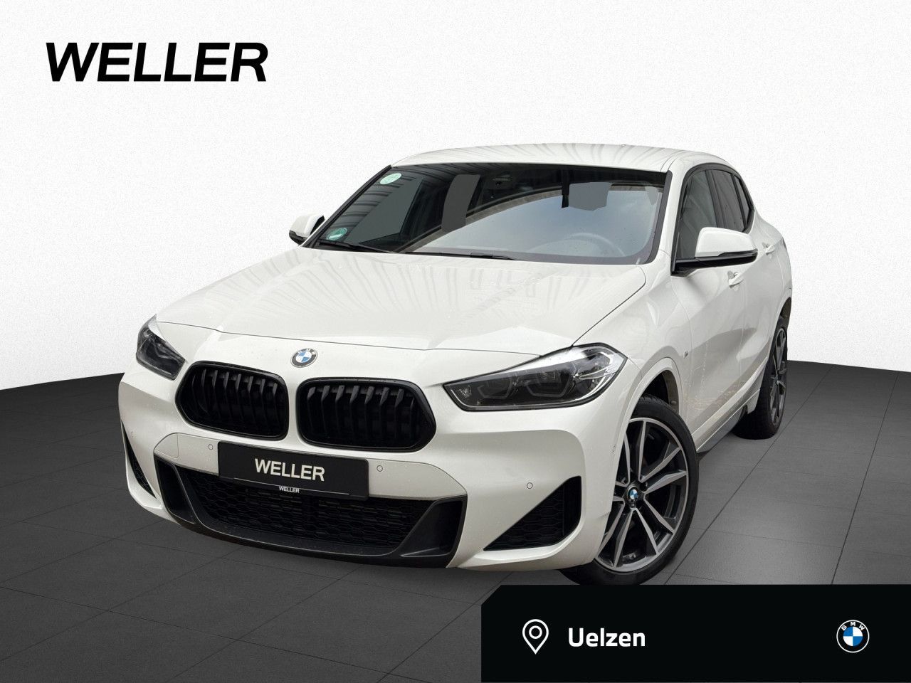 BMW X2 sDrive20i M Sport Navi,RFK,USB,DAB,LED,19"