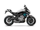 CFMOTO NK 675  Glacier White oder Tundra Grey - CFMOTO 675NK