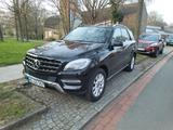 Mercedes-Benz ML 250 BlueTEC 4MATIC - - schwarze Mercedes-Benz ML-Klasse