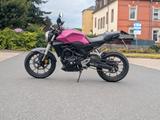 Honda CB300R | A2 | Nur 6.484 km | viele Extras - HONDA CB300R