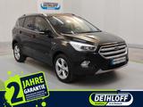 Ford Kuga 2.0 TDCi 4x4 Titanium +PANO+NAV+AHK+ - Ford Kuga in Rostock