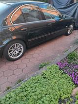 BMW MBW E39 535i - BMW 535: 535i E39