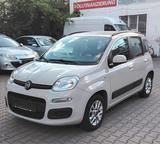Fiat Panda Lounge - Fiat Panda Gebrauchtwagen in Berlin