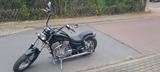 Suzuki VS1400GLP - Angebote