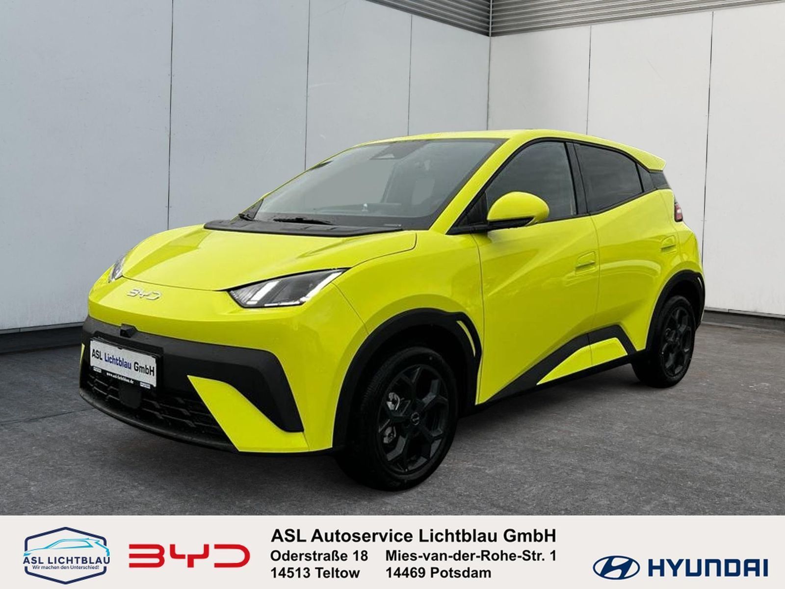 BYD DOLPHIN SURF
