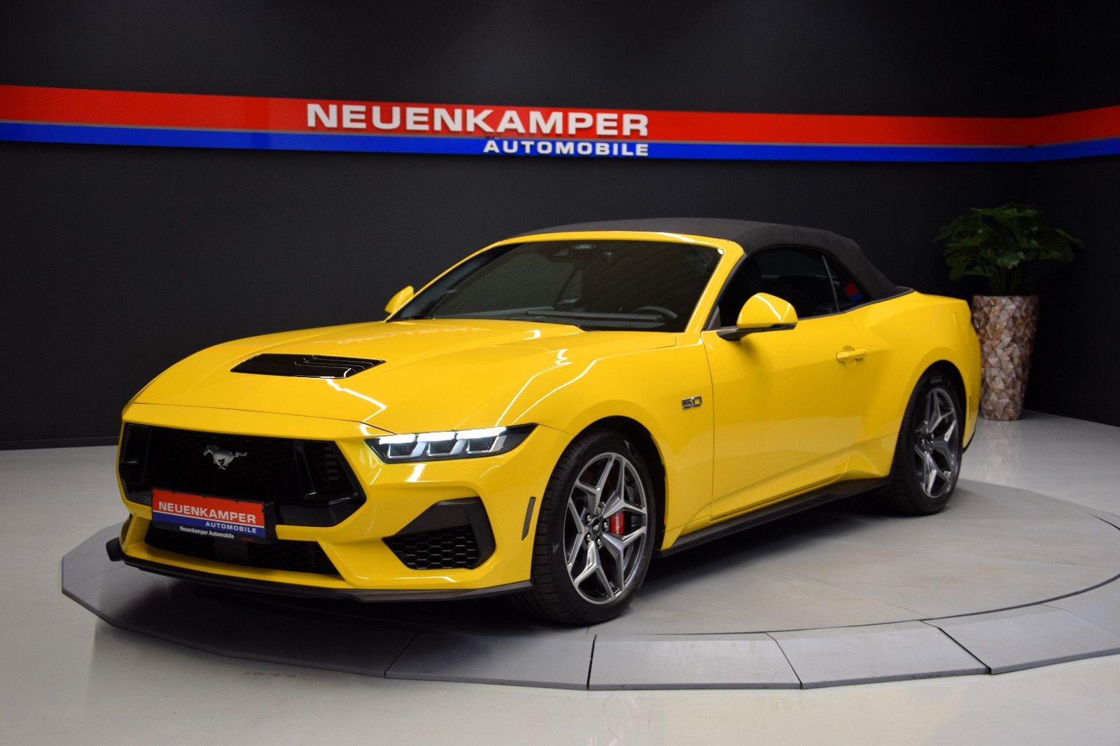 Fahrzeugabbildung Ford Mustang GT Convertible 5.0 Ti-VCT V8 328 DEUTSCH