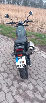 Honda CL 500 Scrambler  - HONDA SCRAMBLER