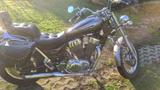 Suzuki VX 51 L - Angebote