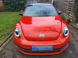 Volkswagen Beetle 1.2 TSI BMT CLUB Sonderausst. 8-fach - Volkswagen Beetle mit Panoramadach