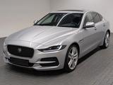 Jaguar XE P250 SE LED/ACC/Meridian/Kam/Pano/19-LM - Jaguar XE: Se
