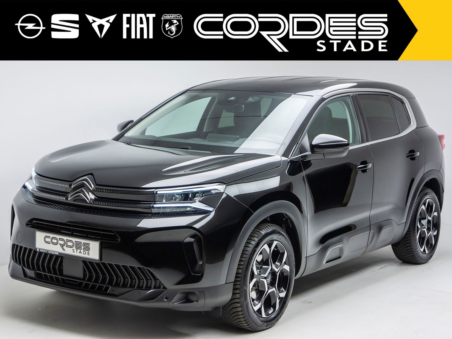 Citroën C5 Aircross Plus Automatik Kamera PDC (87) imagem 2