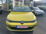 Volkswagen Golf VIII Lim. Life/ Navi / LED / ACC/  150 PS - : Gelb, Sportfahrwerk