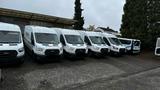 Ford Transporter 9 Stk. zum Verkaufen - Ford: Transporter