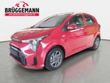 Kia PICANTO 1.2 VISION MJ25 SITZH. NAVI KAMERA