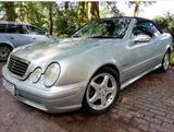 Mercedes-Benz CLK 55 AMG Cabrio W208 designo Mercedes Benz - Mercedes-Benz CLK 55 AMG: Cabrio