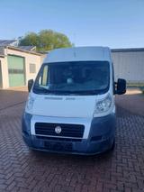 Fiat Ducato Multijet  250 - Fiat Ducato aus 2011: Van