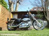 Harley-Davidson Sportster 1200 - HARLEY-DAVIDSON 2001 SPORTSTER