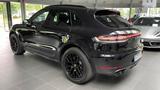 Porsche Macan GTS - Porsche Macan in Freiburg