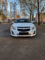 Chevrolet Cruze  1.7 TD LT+ (Hatchback, J305) - Chevrolet Cruze: Weiß