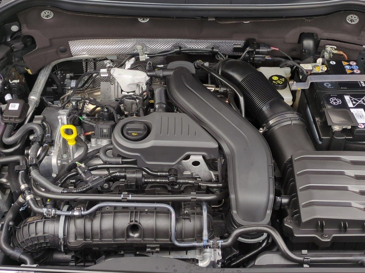 Fahrzeugabbildung SKODA Karoq Selection Style TSI DSG - AHK, Navi, uvm.