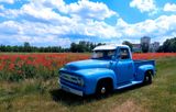 Ford F100 1953 - Ford F 100: Geländewagen