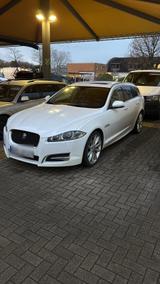 Jaguar XF Sport 3.0d - Jaguar XF mit Diesel-Antrieb: Kombi, 3.0