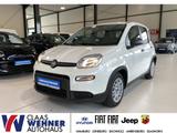 Fiat Panda Base *Bluetooth *Klimaanlage - Fiat Panda Gebrauchtwagen in Hamburg