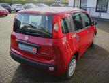 Fiat Panda 1.0 Hybrid 51kW/70PS, Klima, PDC, DAB - Fiat Panda: 5.5