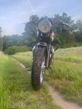 Triumph Bonneville T 100 - TRIUMPH BONNEVILLE T100
