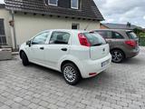 Fiat Punto 1.2 (69 PS) | EZ 2015 | 100.776... - Fiat Punto: 1.6