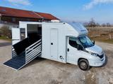 Iveco Daily RJH 2-Pferdetransporter Wohnkabine WC LKW - Angebote