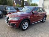 Audi Q5 quattro design - rote Audi Q5