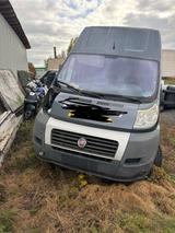 Fiat Ducato Motorschaden - Fiat Ducato in Bonn