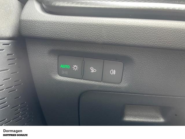 Skoda Octavia Combi RS 2.0 TSI DSG AHK PANO STANDHZ. C