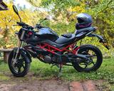 Benelli BN 125, 1. Hand, wenig Km - BENELLI VON 81 BIS 125 CCM