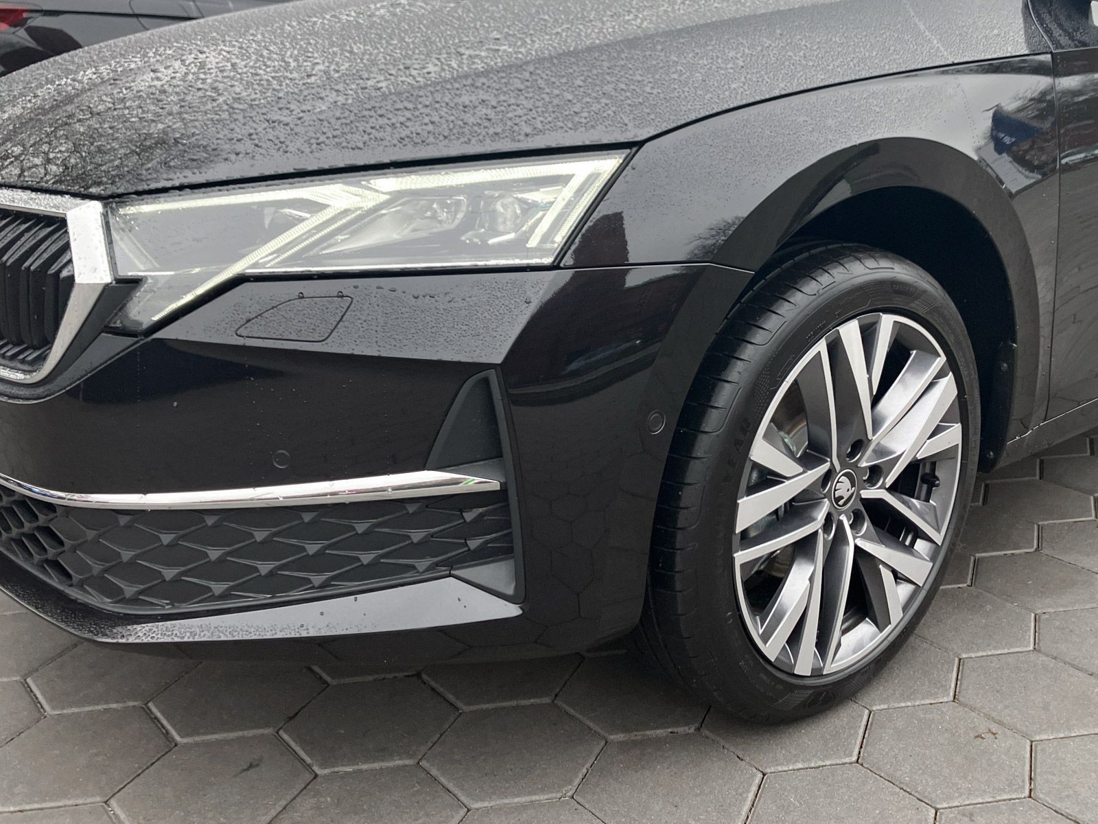 Skoda Octavia - Bild 5