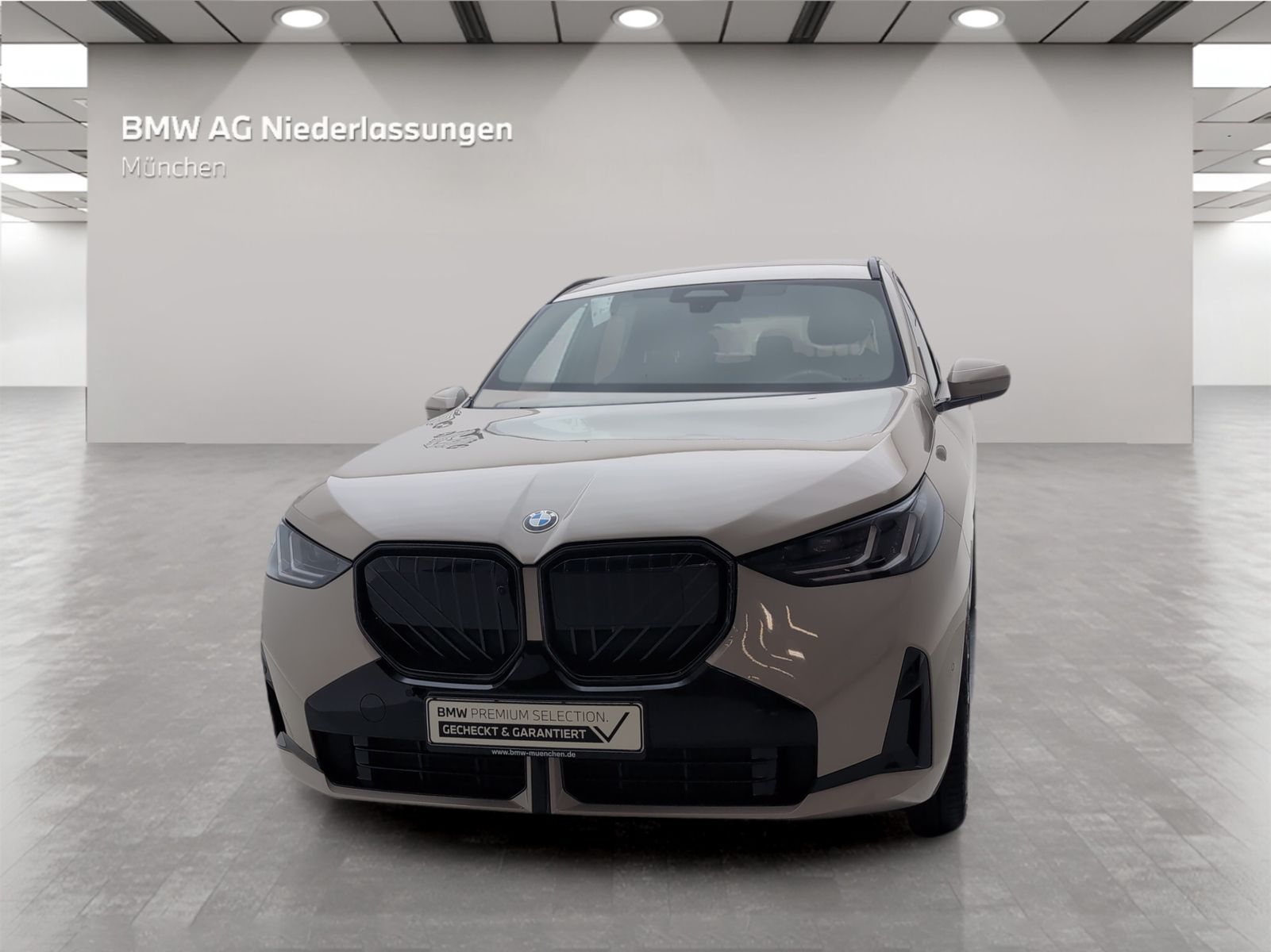 BMW X3 30e xDrive M Sport AHK Driv.Assist.Prof LED foto 4