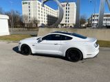 Ford Mustang 5.0 V8 EU-Model, RECARO, BREMBO - Ford B model Gebrauchtwagen