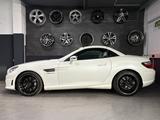 Mercedes-Benz SLK 55 AMG HARMAN-KARDON/GLASDACH/ICW/CARBON - Mercedes-Benz G55