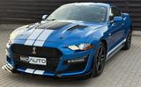 Ford Mustang 5.0 GT V8 - Ford: Firmenfahrzeug