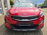 Kia XCeed Platinum Edition LEDER PANO STDZG LHZ LED - rote Kia XCeed