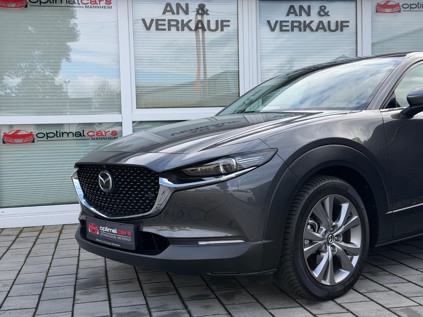 Mazda CX-30 Edition 100 2WD/BOSE/1.HAND/HEAD-UP/360°