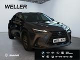 Lexus NX 450h+ E-FOUR Executive Line *Bi-LED*360°*HiFi - Lexus NX 450h Gebrauchtwagen