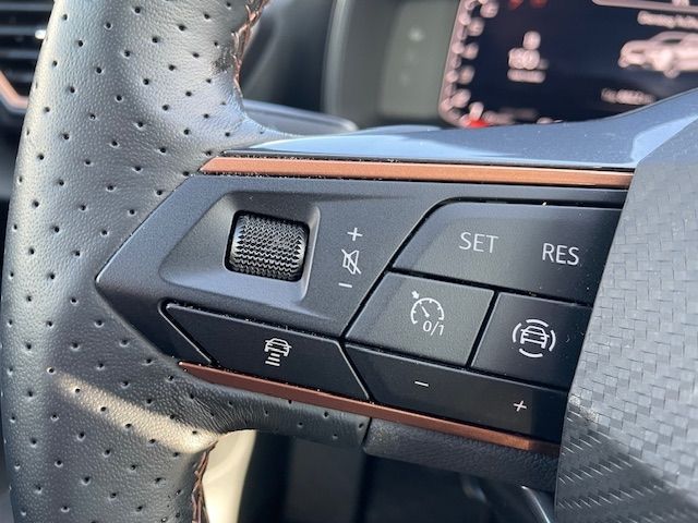 Formentor 1.5 TSI Navi AHK-klappbar Digitales Co