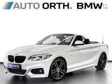 BMW 230i Cabrio AUT. M-SPORT NAVI-P KAMERA AD.LED hk - gebrauchte Cabrios in Trier