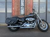 Harley-Davidson Sportster 1200 Custom  - HARLEY-DAVIDSON SPORTSTER 1200 CUSTOM