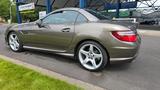 Mercedes-Benz SLK 250 CDI AMG-Line AirScarf 7G-Tronic - Mercedes-Benz mit Diesel-Antrieb: Sl