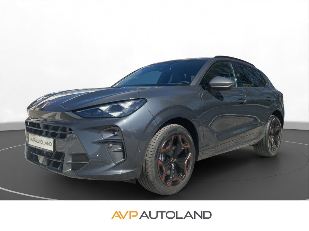 Terramar 2.0 TSI DSG 4Drive | AHK | HD-Matrix